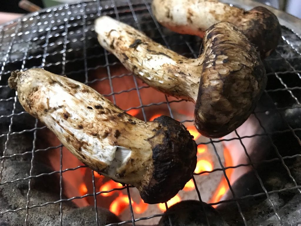 マツタケを七輪で焼く