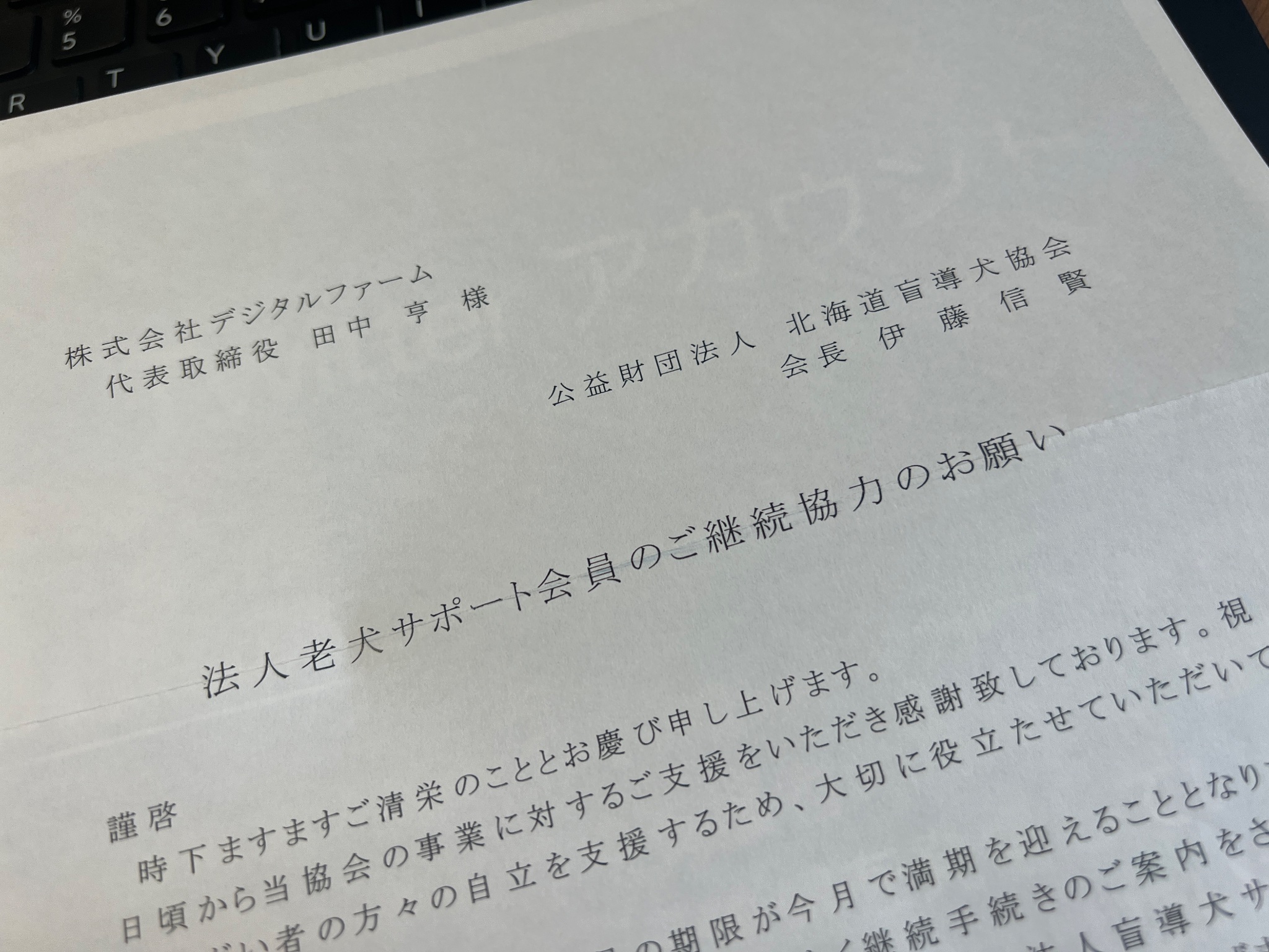 北海道盲導犬協会に法人老犬サポート会員を継続