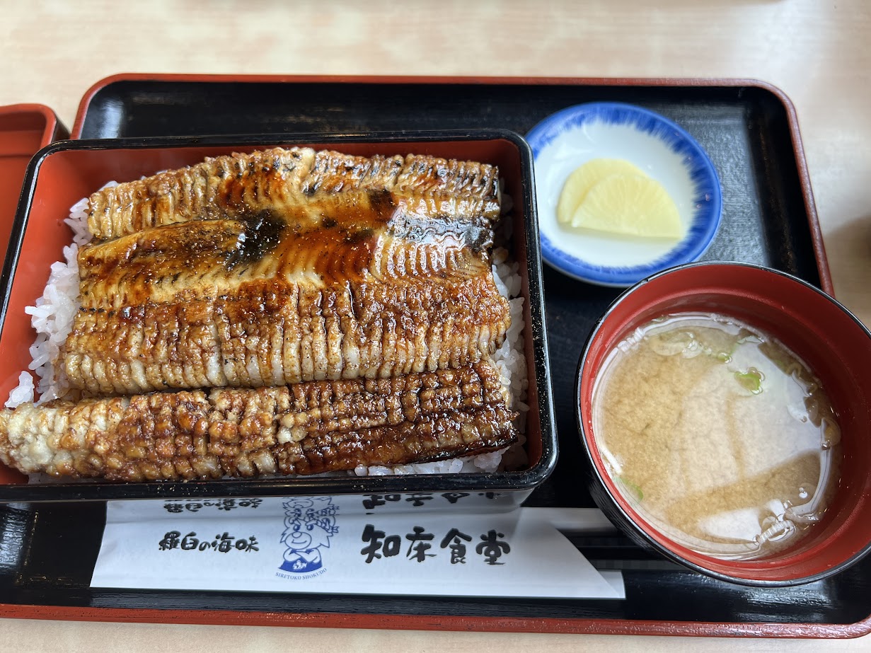 東大卒とMBAとハモ丼と。