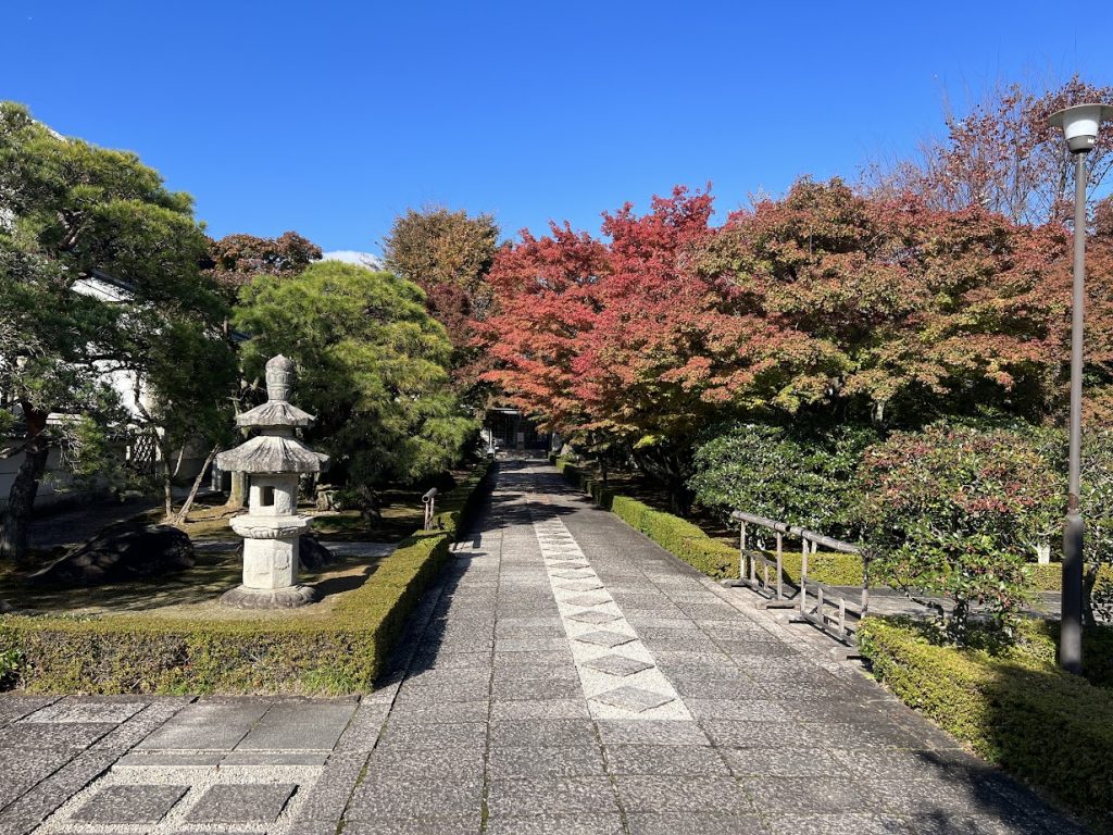 歴史があるからイノベーションを起こせるー特別展「若冲と応挙」を見に行く