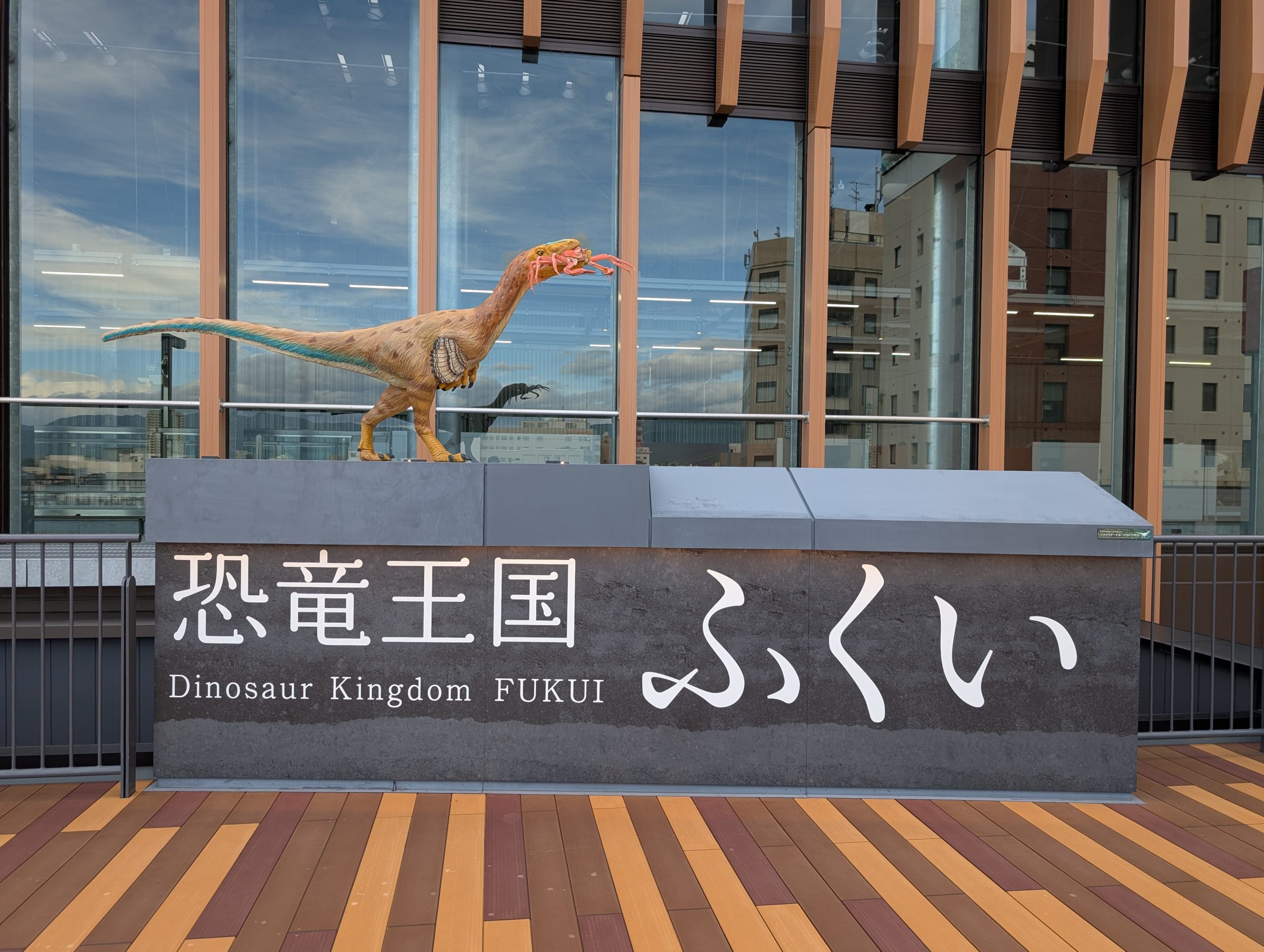 福井市のうおおおりゃああああ！！！を感じた話し