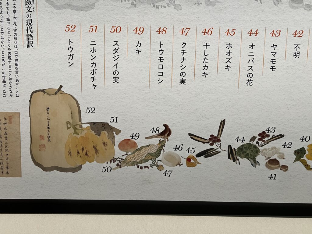 「若冲ディスカバリー」が思いのほか力作だった件>京都の福田美術館「果蔬図巻」解説