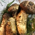 マツタケを食べた事がない。ので、タカヒコと一緒に頂いてみた。